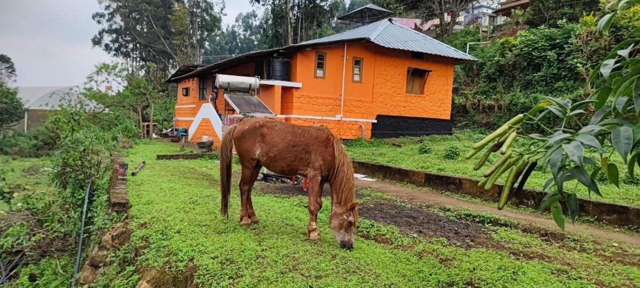 Paradise Cottage Vattavada, Munnar エクステリア 写真